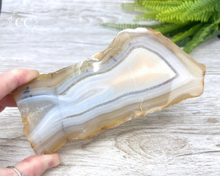 Madagascar Agate Slice #1