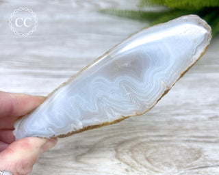 Madagascar Agate Slice #5
