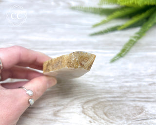 Madagascar Agate Slice #5