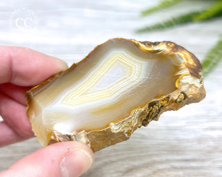 Madagascar Agate Slice #6
