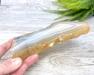 Madagascar Agate Slice #1