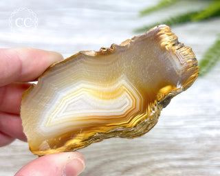 Madagascar Agate Slice #6