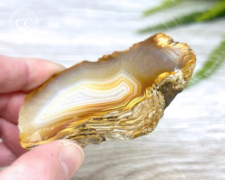 Madagascar Agate Slice #6