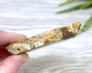 Madagascar Agate Slice #6