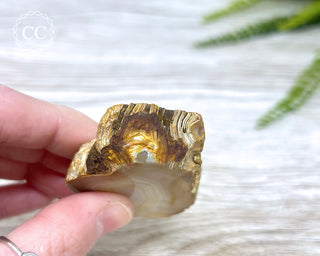 Madagascar Agate Slice #6