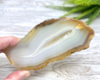 Madagascar Agate Slice #7