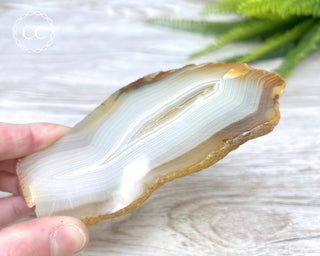 Madagascar Agate Slice #7