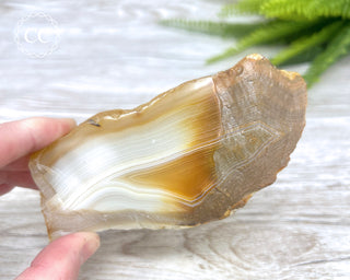 Madagascar Agate Slice #7