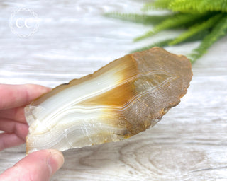 Madagascar Agate Slice #7