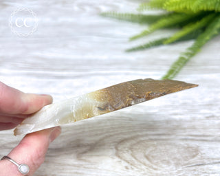 Madagascar Agate Slice #7