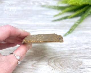 Madagascar Agate Slice #7