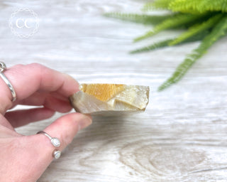 Madagascar Agate Slice #7