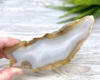 Madagascar Agate Slice #8
