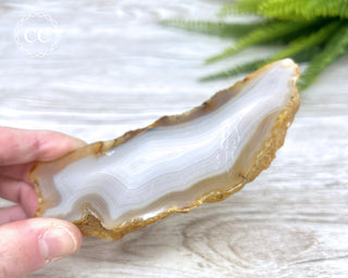 Madagascar Agate Slice #8