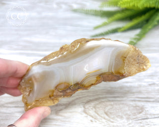Madagascar Agate Slice #8