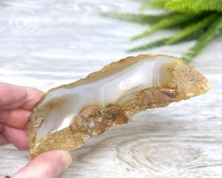 Madagascar Agate Slice #8