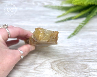 Madagascar Agate Slice #8