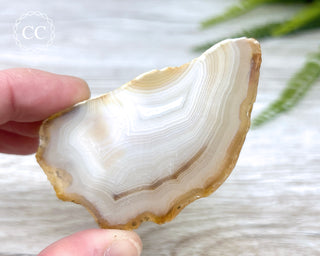 Madagascar Agate Slice #9