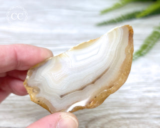 Madagascar Agate Slice #9