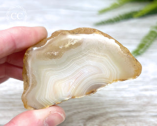 Madagascar Agate Slice #9