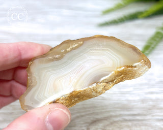 Madagascar Agate Slice #9