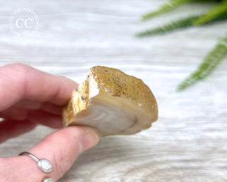 Madagascar Agate Slice #9