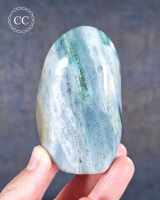 A hand holding a Madagacan Jasper freeform with Pyrite inclusions
