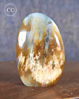 Madagascar Jasper with Pyrite Freeform #1
