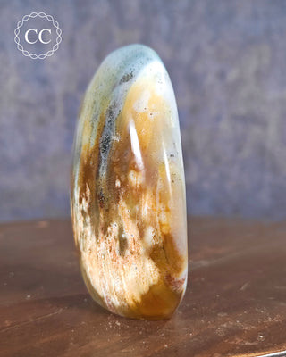 Madagascar Jasper with Pyrite Freeform #1