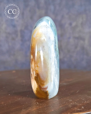 Madagascar Jasper with Pyrite Freeform #1