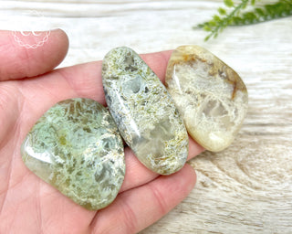 Madagascar Moss Agate Palm Stone