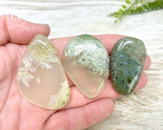 Madagascar Moss Agate Palm Stones in hand