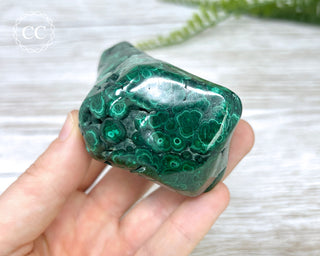 Malachite Polished Freeform #3