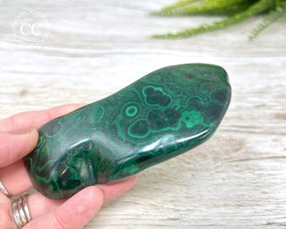 Malachite Polished Freeform #3