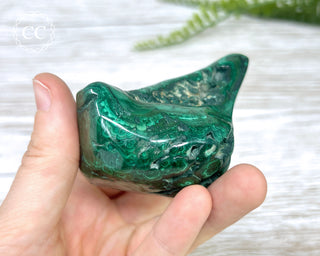 Malachite Polished Freeform #3