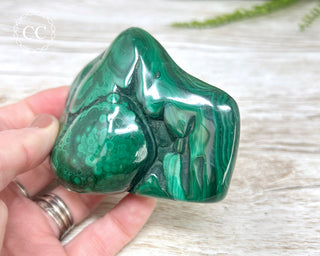 Malachite Polished Freeform #4