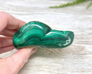 Malachite Polished Freeform #4