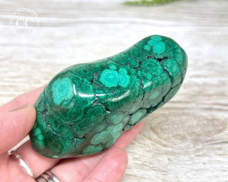 Malachite Polished Freeform #8