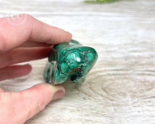 Malachite Polished Freeform #8