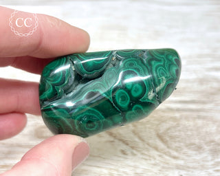 Malachite Polished Freeform #10