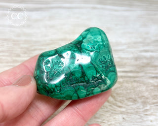 Malachite Polished Freeform #12