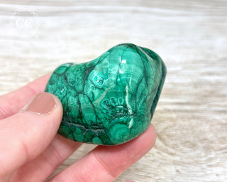 Malachite Polished Freeform #12