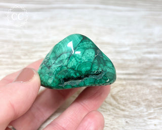 Malachite Polished Freeform #12