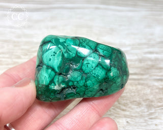 Malachite Polished Freeform #12
