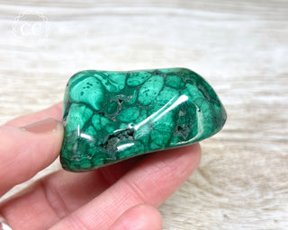Malachite Polished Freeform #12