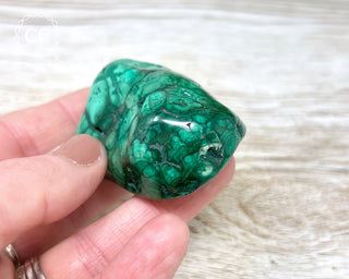 Malachite Polished Freeform #12