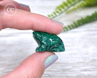 Malachite Polished Frog #1