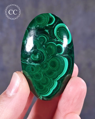 A hand holding a Malachite palmstone