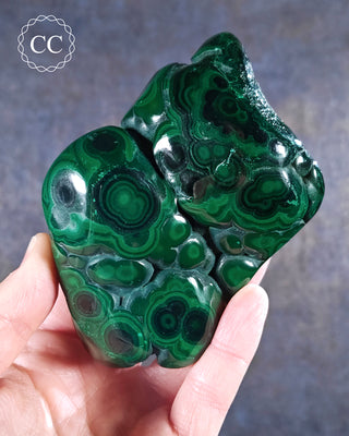 A hand holding a polished Malachite freeform
