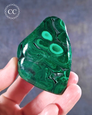 A hand holding a polished Malachite freeform